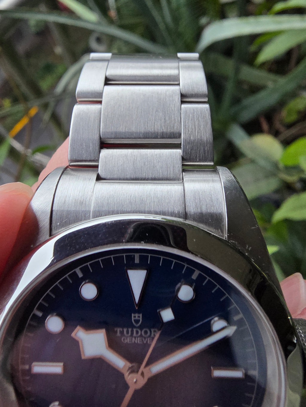 Tudor Heritage Black Bay 41 79540 Full Set
