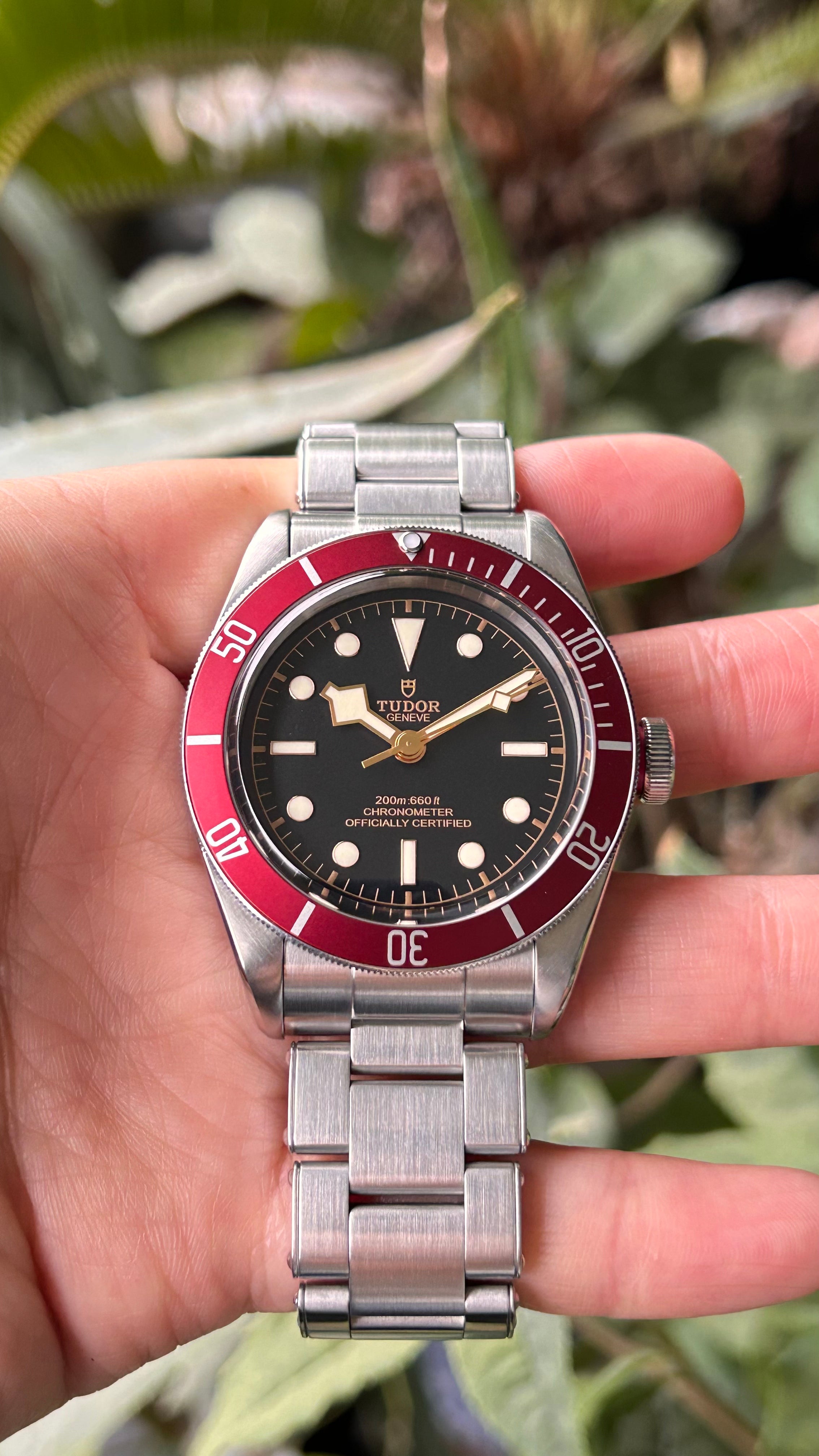 Tudor Heritage Black Bay 41 79230R Full Set
