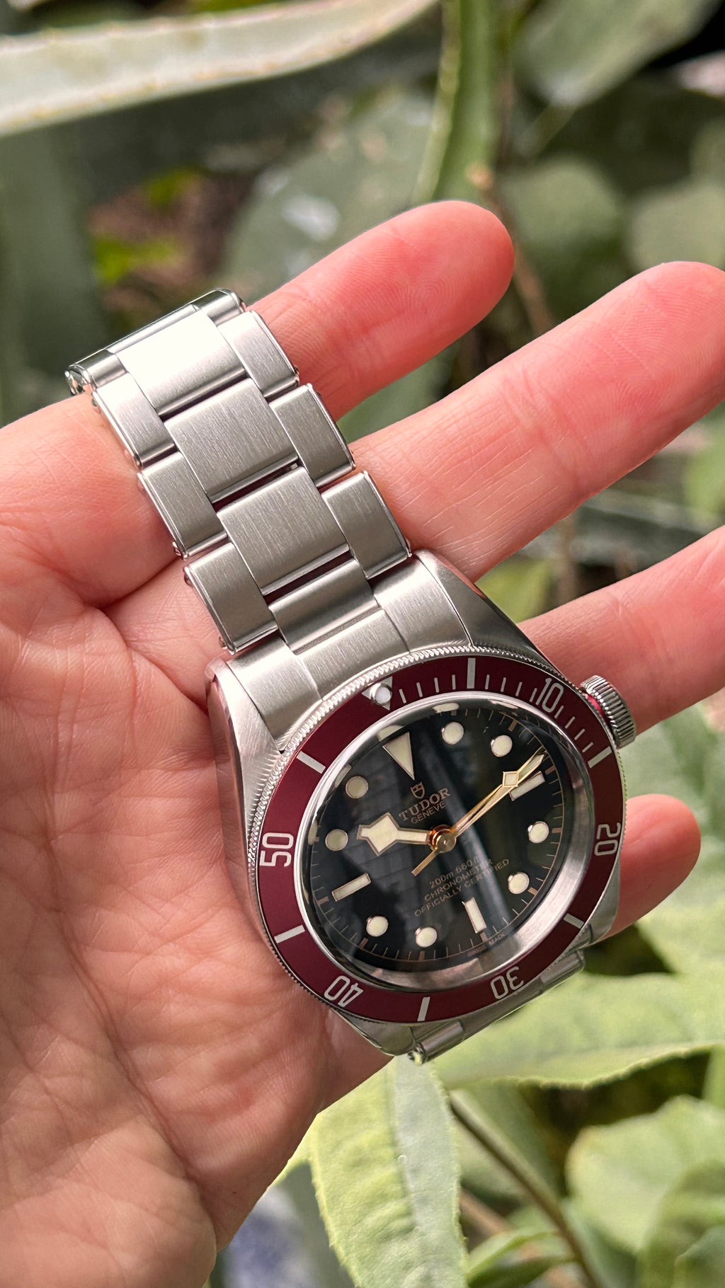 Tudor Heritage Black Bay 41 79230R Full Set