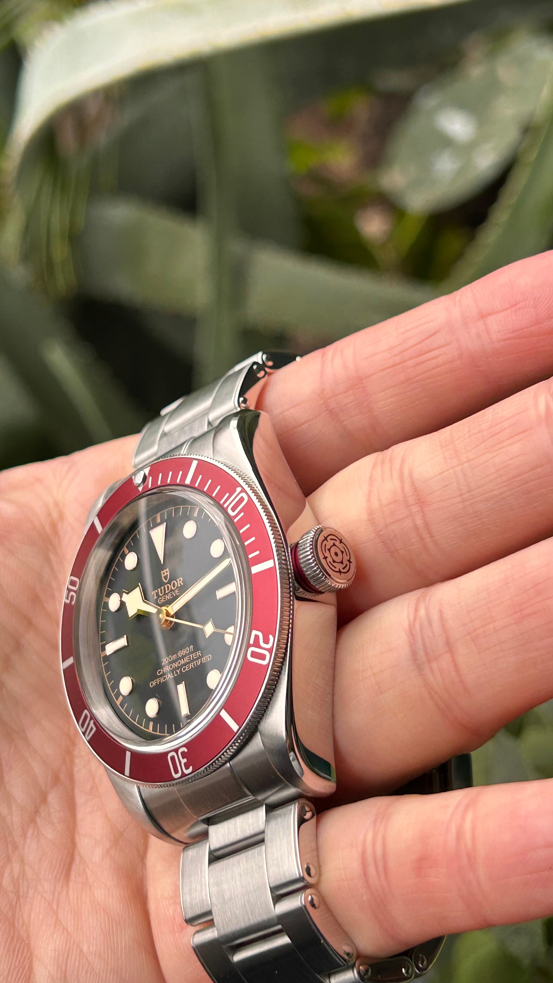Tudor Heritage Black Bay 41 79230R Full Set