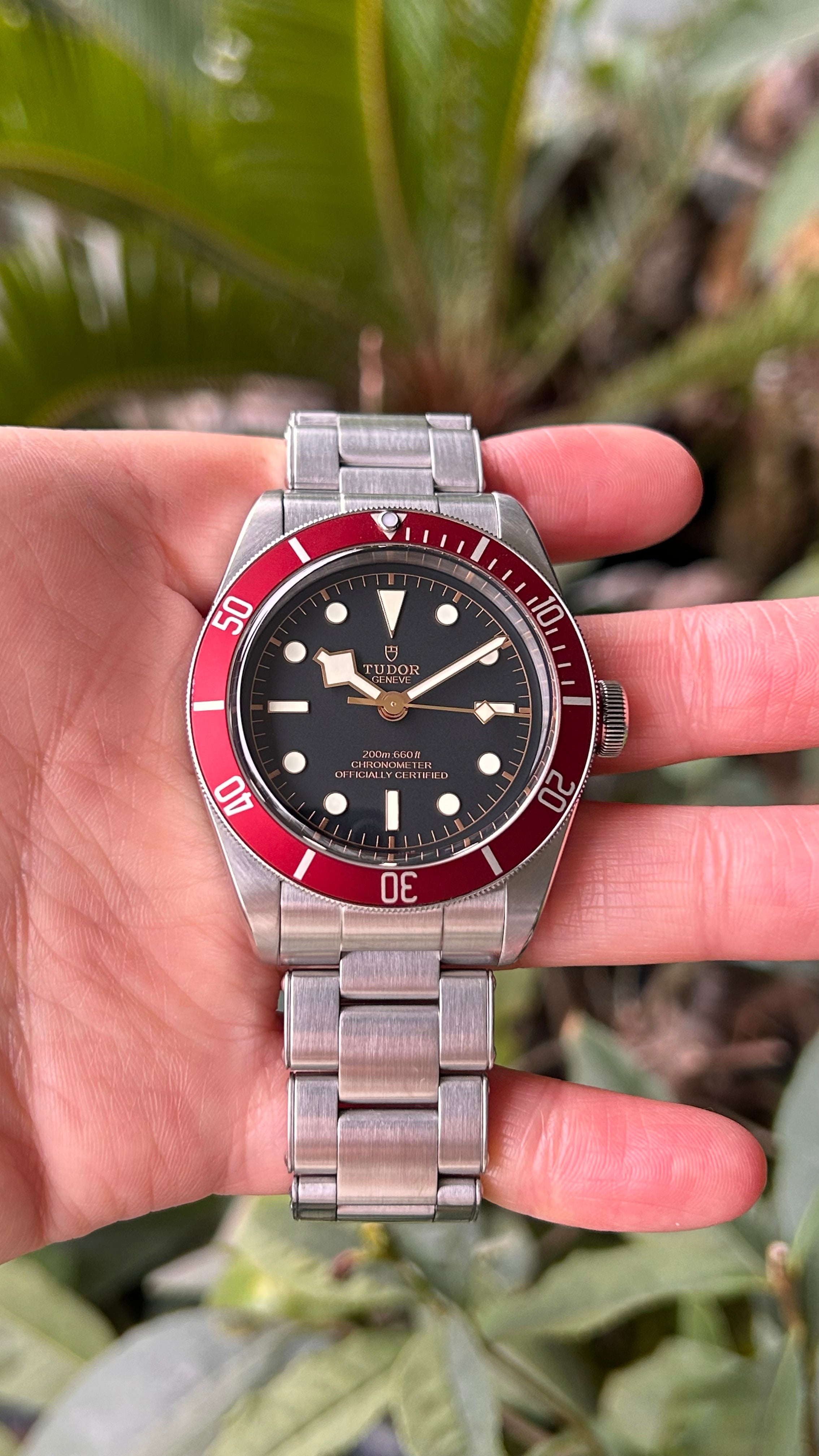 2022.11 Tudor Heritage Black Bay 41 79230R Full Set