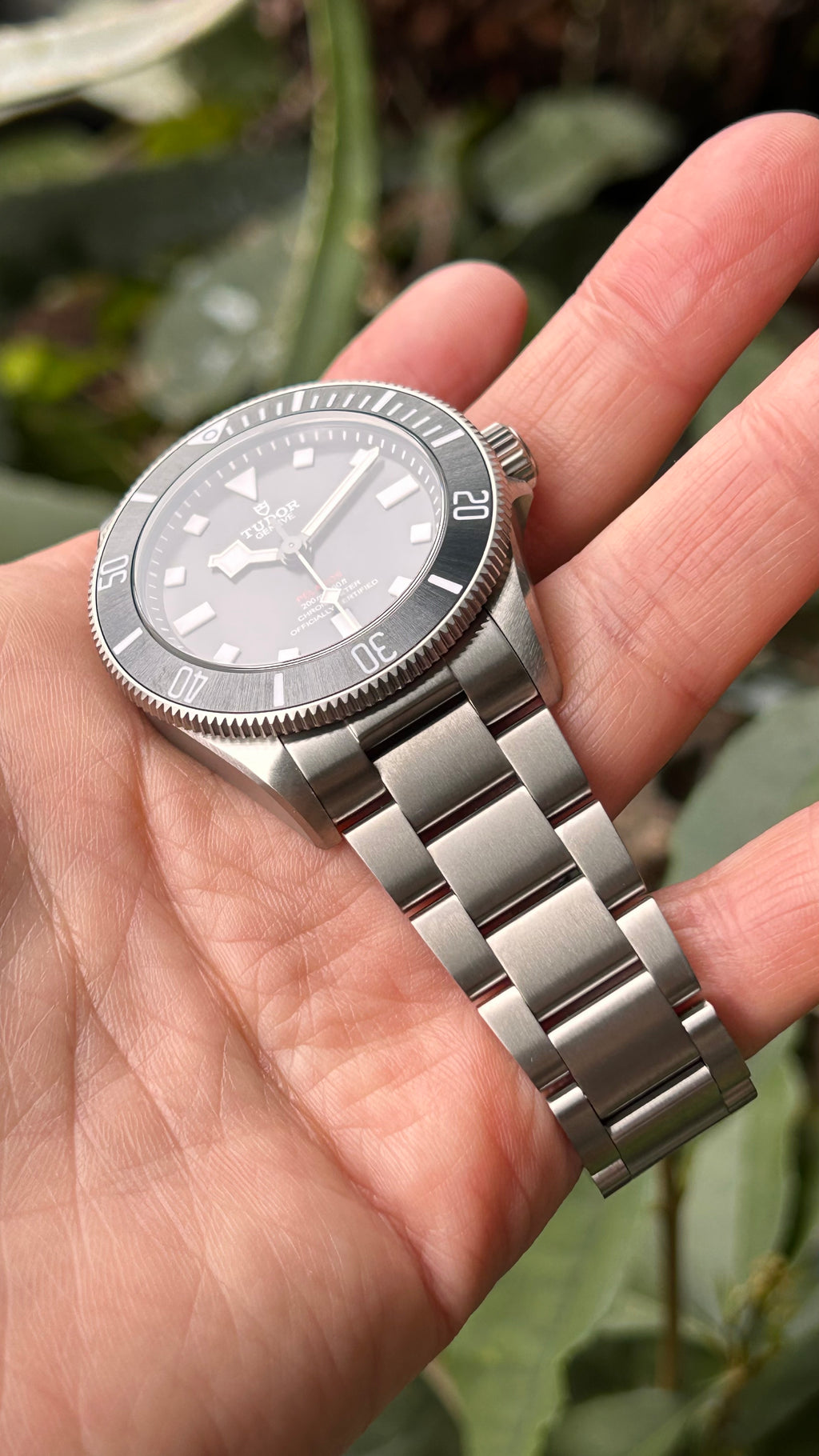 BNIB 2025.11 Tudor Pelagos 39 25407N