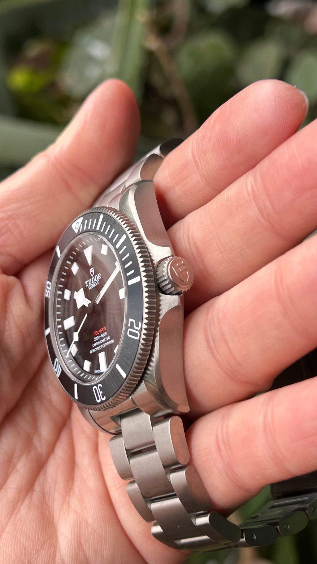 BNIB 2025.11 Tudor Pelagos 39 25407N