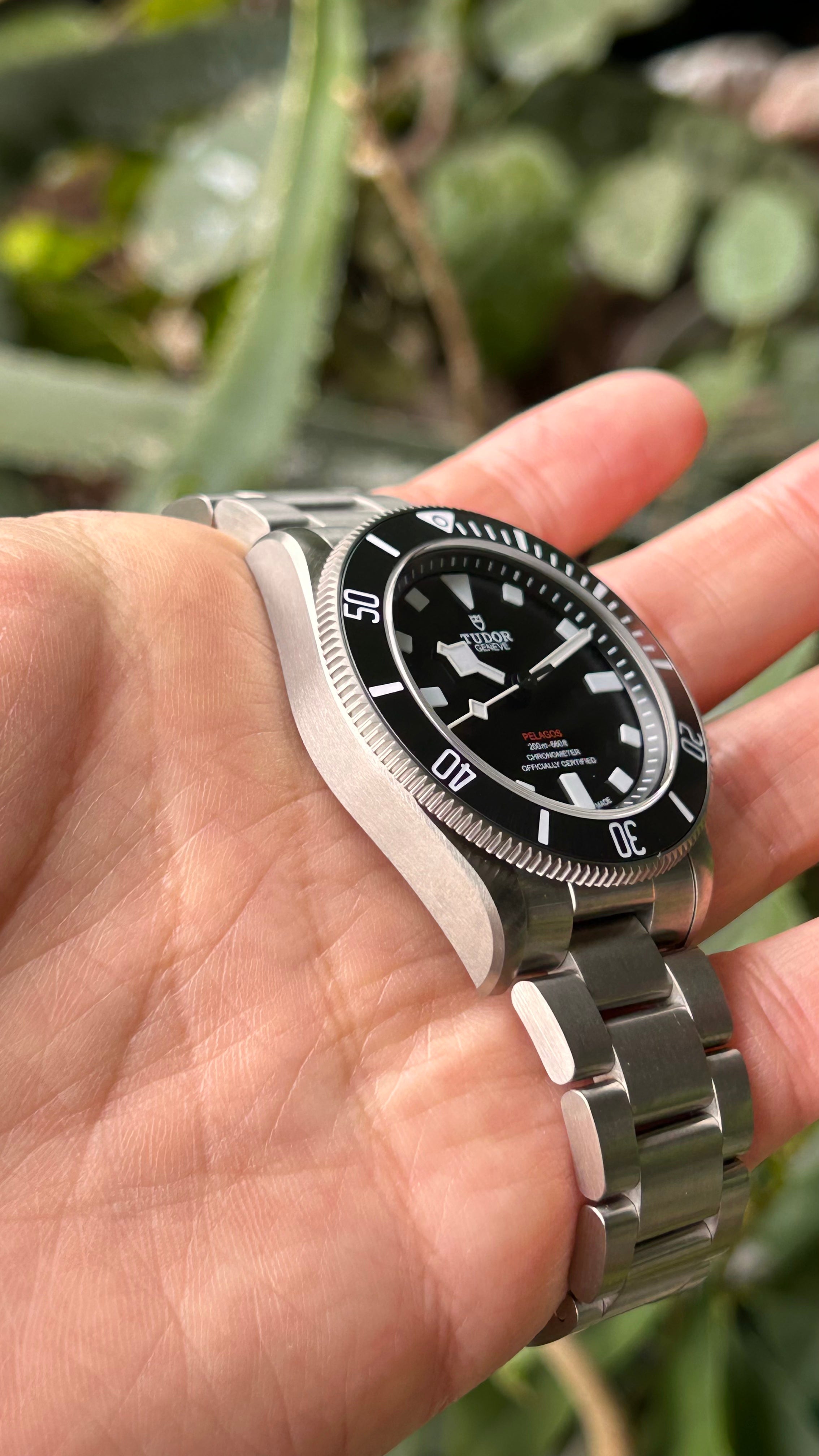 BNIB 2025.11 Tudor Pelagos 39 25407N