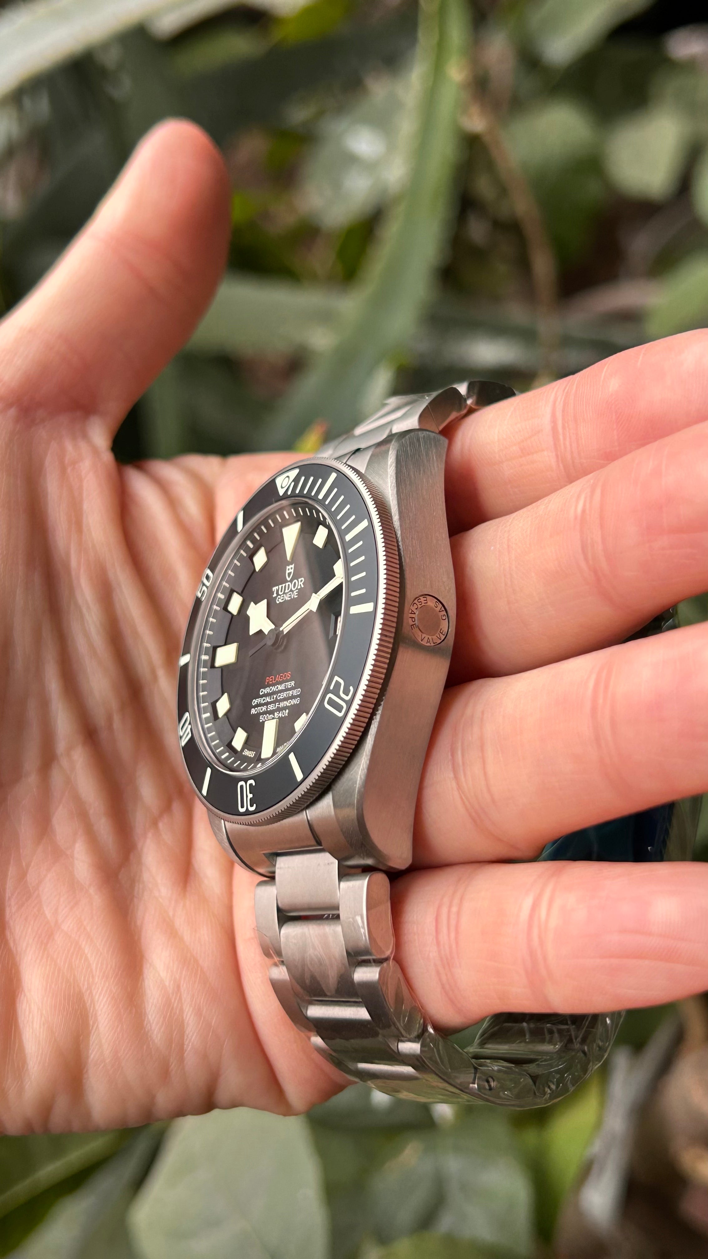 BNIB 2025.12 Tudor Pelagos 25610TNL 42mm