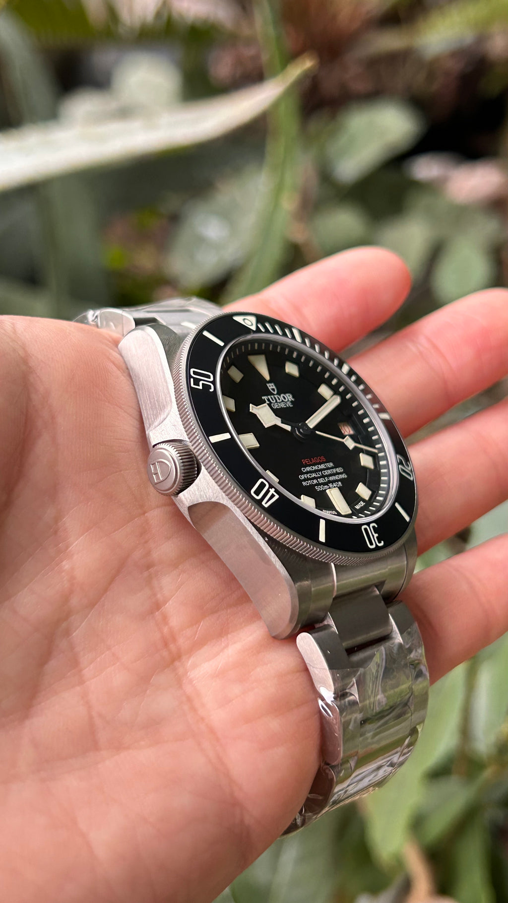 BNIB 2025.12 Tudor Pelagos 25610TNL 42mm