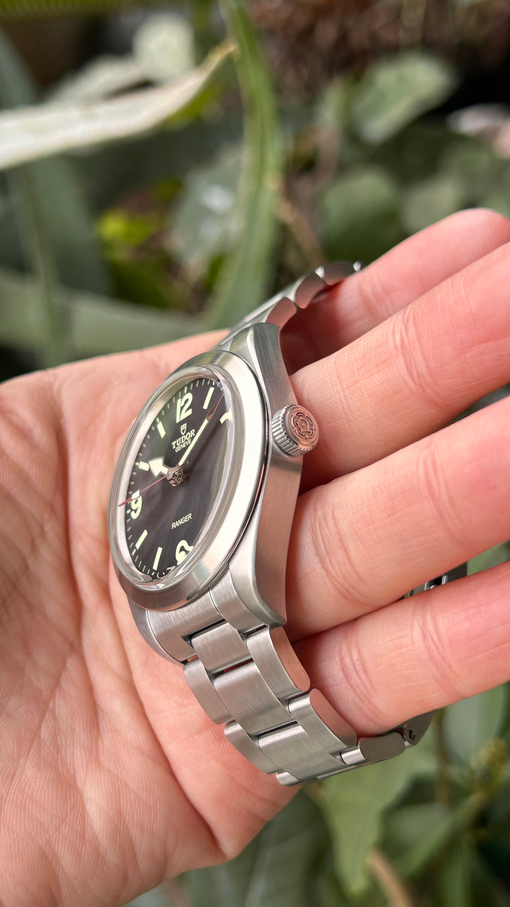 Tudor Ranger 79950 39mm Full Set