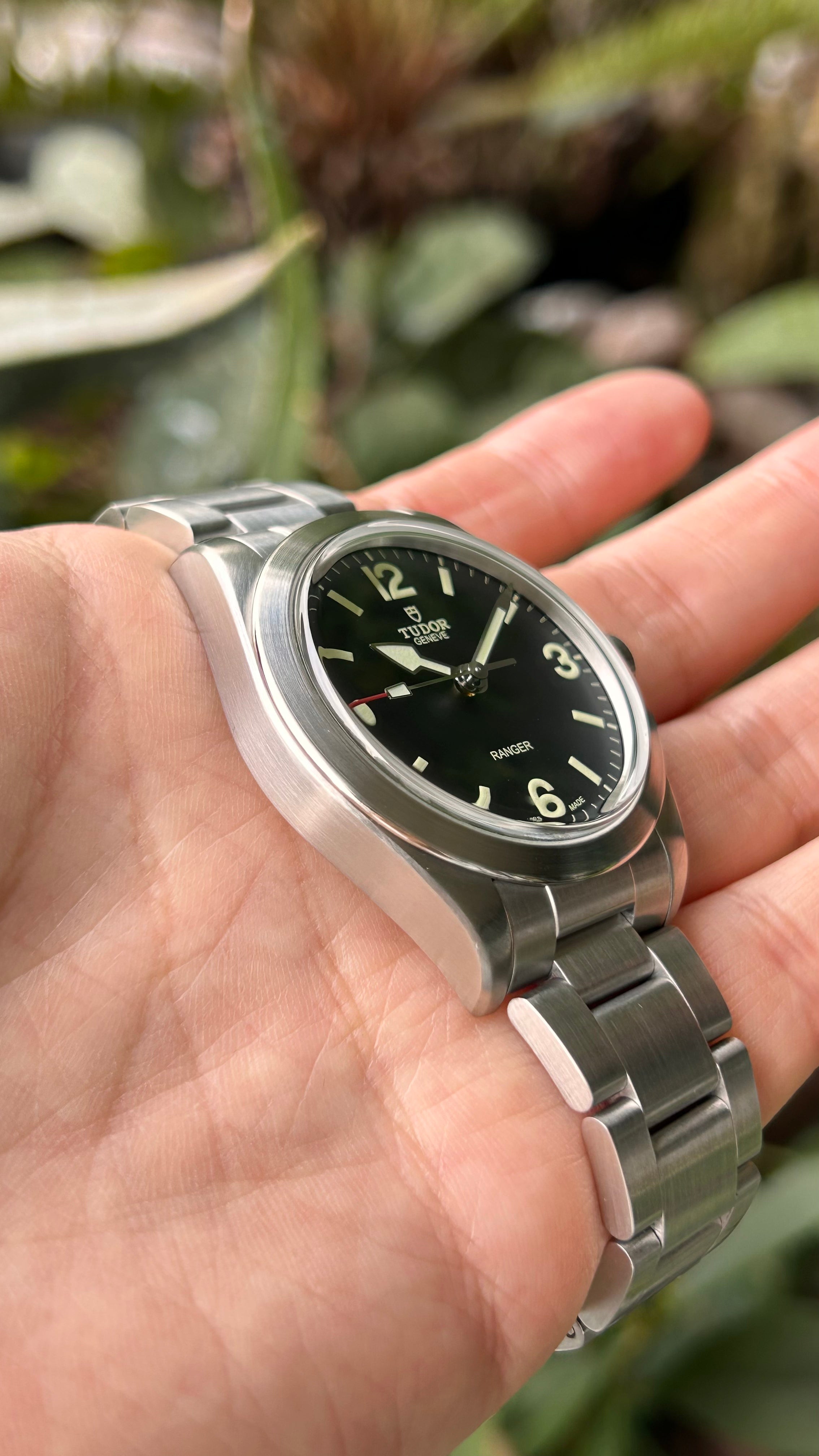 Tudor Ranger 79950 39mm Full Set